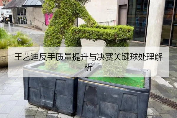 wang-yi-di-fan-shou-zhi-liang-ti-sheng-yu-jue-sai-guan-jian-qiu-chu-li-jie-xi-3-422.jpg