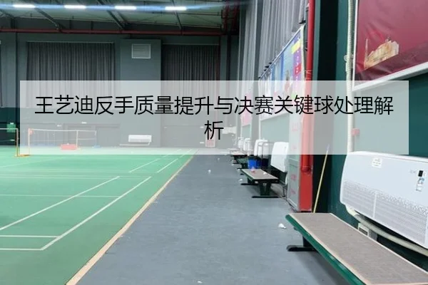 wang-yi-di-fan-shou-zhi-liang-ti-sheng-yu-jue-sai-guan-jian-qiu-chu-li-jie-xi-1-396.jpg