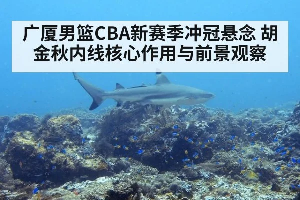 广厦男篮CBA新赛季冲冠悬念 胡金秋内线核心作用与前景观察